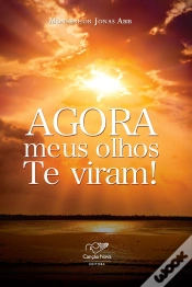 Capa do artigo Agora Meus Olhos Te Viram!