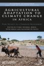 Agricultural Adaptation To Climate Change In Africa - Preview