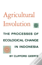 Capa do artigo Agricultural Involution