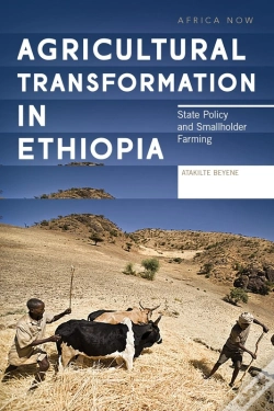 Capa do artigo Agricultural Transformation In Ethiopia