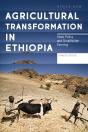 Agricultural Transformation In Ethiopia - Preview