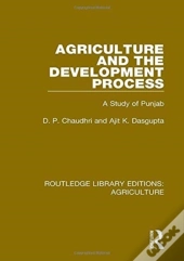 Agriculture And The Development Process
