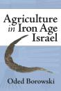 Agriculture In Iron Age Israel - Preview