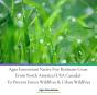 Agro Forestrium Native Fire Resistant Grass From North America (Usa Canada) To Prevent Forest Wildfires & Urban Wildfires - Preview