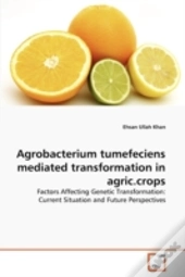 Agrobacterium Tumefeciens Mediated Transformation In Agric.Crops