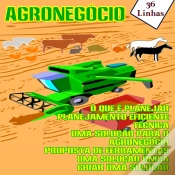 Capa do artigo Agronegócio