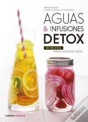 Capa do artigo Aguas E Infusiones Detox