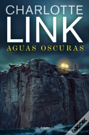 Capa do artigo Aguas Oscuras