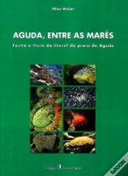 Capa do artigo Aguda, Entre As Marés