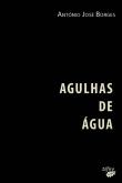 Agulhas de Água