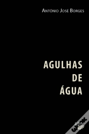 Capa do artigo Agulhas de Água