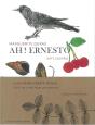 Ah ! Ernesto - Preview