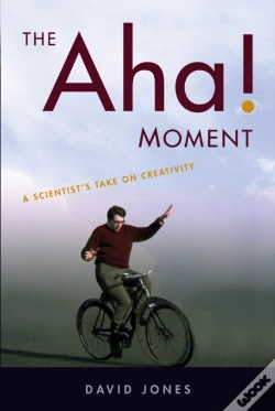 Capa do artigo Aha! Moment