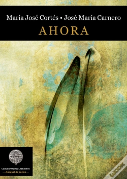 Capa do artigo Ahora
