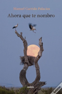 Capa do artigo Ahora Que Te Nombro