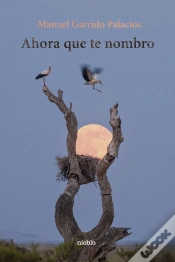 Capa do artigo Ahora Que Te Nombro