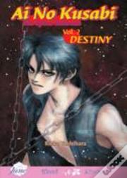 Ai No Kusabi The Space Between Volume 2: Destiny (Yaoi Novel)