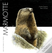 Capa do artigo Aigle