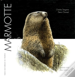 Capa do artigo Aigle