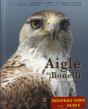 Aigle De Bonelli ; Méditerranéen Méconnu - Preview