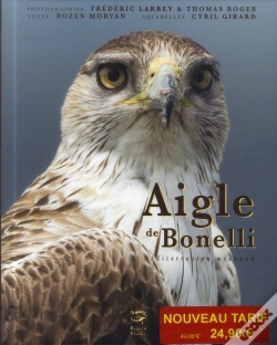 Capa do artigo Aigle De Bonelli ; Méditerranéen Méconnu