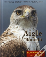 Capa do artigo Aigle De Bonelli ; Méditerranéen Méconnu