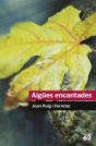 Aigües Encantades - Preview