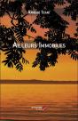 Ailleurs Immobiles - Preview