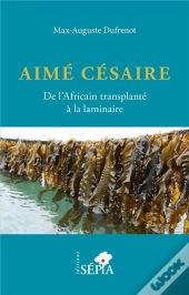 Aime Cesaire. De L'Africain Transplante A La Laminaire