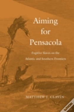 Capa do artigo Aiming For Pensacola