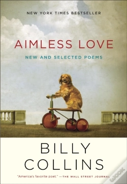 Capa do artigo Aimless Love