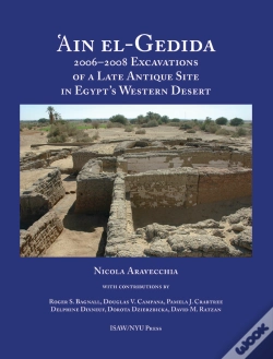 Capa do artigo 'Ain El-Gedida
