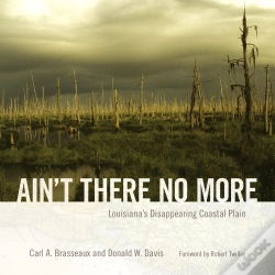 Capa do artigo Ain'T There No More