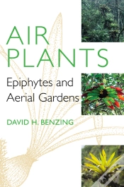 Capa do artigo Air Plants