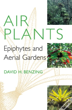 Capa do artigo Air Plants