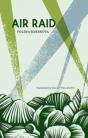 Air Raid - Preview