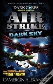 Air Strike: Dark Sky