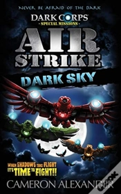 Capa do artigo Air Strike: Dark Sky