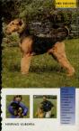 Airedale Terrier - Preview