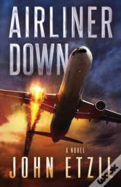 Capa do artigo Airliner Down