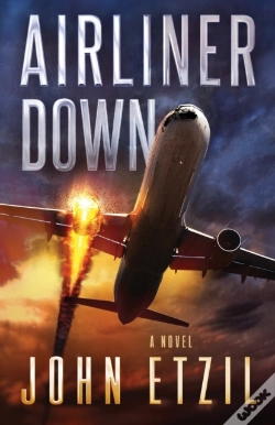 Capa do artigo Airliner Down
