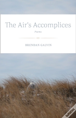 Capa do artigo Air'S Accomplices