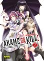 Akame Ga Kill! - Preview
