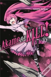 Capa do artigo Akame Ga Kill!, Vol. 10