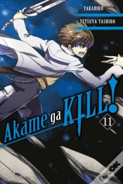 Capa do artigo Akame Ga Kill!, Vol. 11