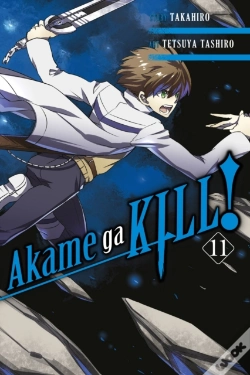 Capa do artigo Akame Ga Kill!, Vol. 11