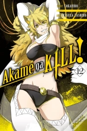 Capa do artigo Akame Ga Kill!, Vol. 12