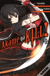 Capa do artigo Akame Ga Kill!, Vol. 13