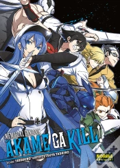 Capa do artigo Akame Memorial Fanbook