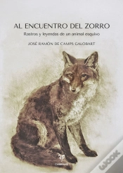 Capa do artigo Al Encuentro Del Zorro